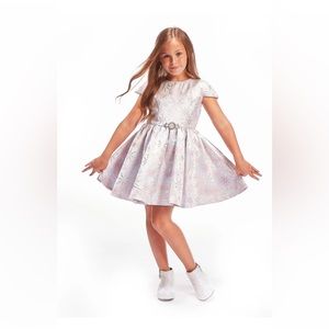 Disney Store Disney’s Frozen 2 Elsa Princess Fancy Party Dress NWOT Size 5/6